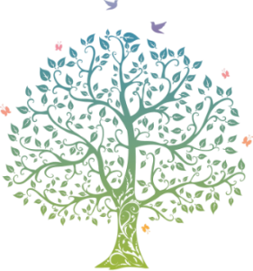 Praticien BBA - Bye-Bye Allergies